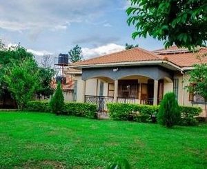 Charming 3-Bedroom Bungalow with Expansive Garden